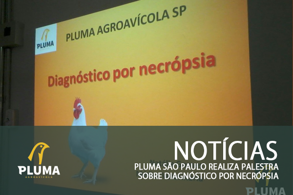 Pluma São Paulo realiza Palestra sobre Diagnóstico por Necrópsia
