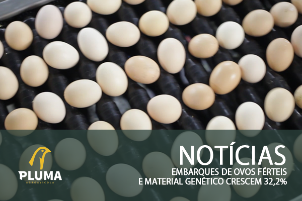 Embarques de ovos férteis e material genético crescem 32,2%