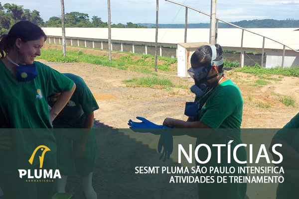 SESMT Pluma São Paulo intensifica atividades de treinamento