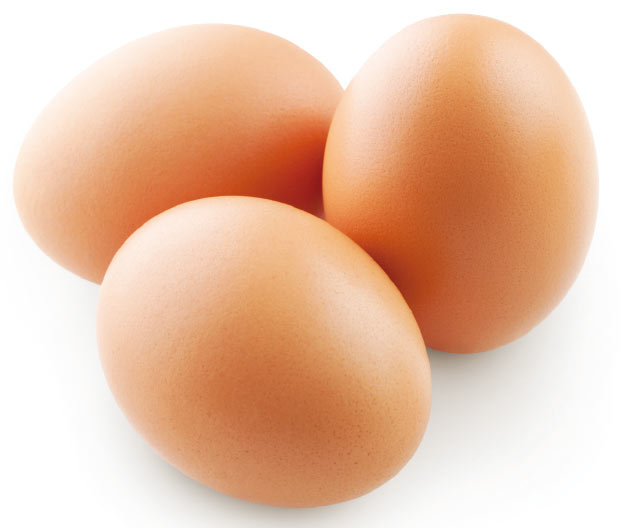 Vendas externas de ovos férteis crescem 54% nos cinco primeiros meses de 2014